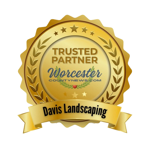 Trusted Partner Badge