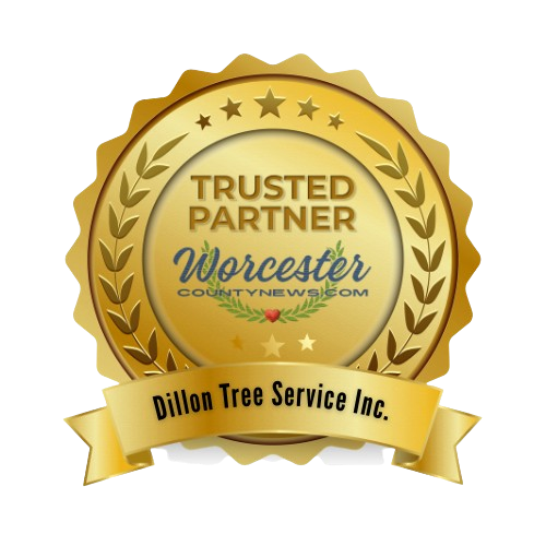 Trusted Partner Badge