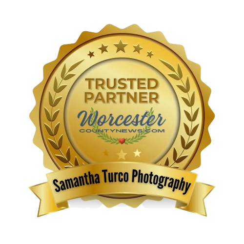 Trusted Partner Badge