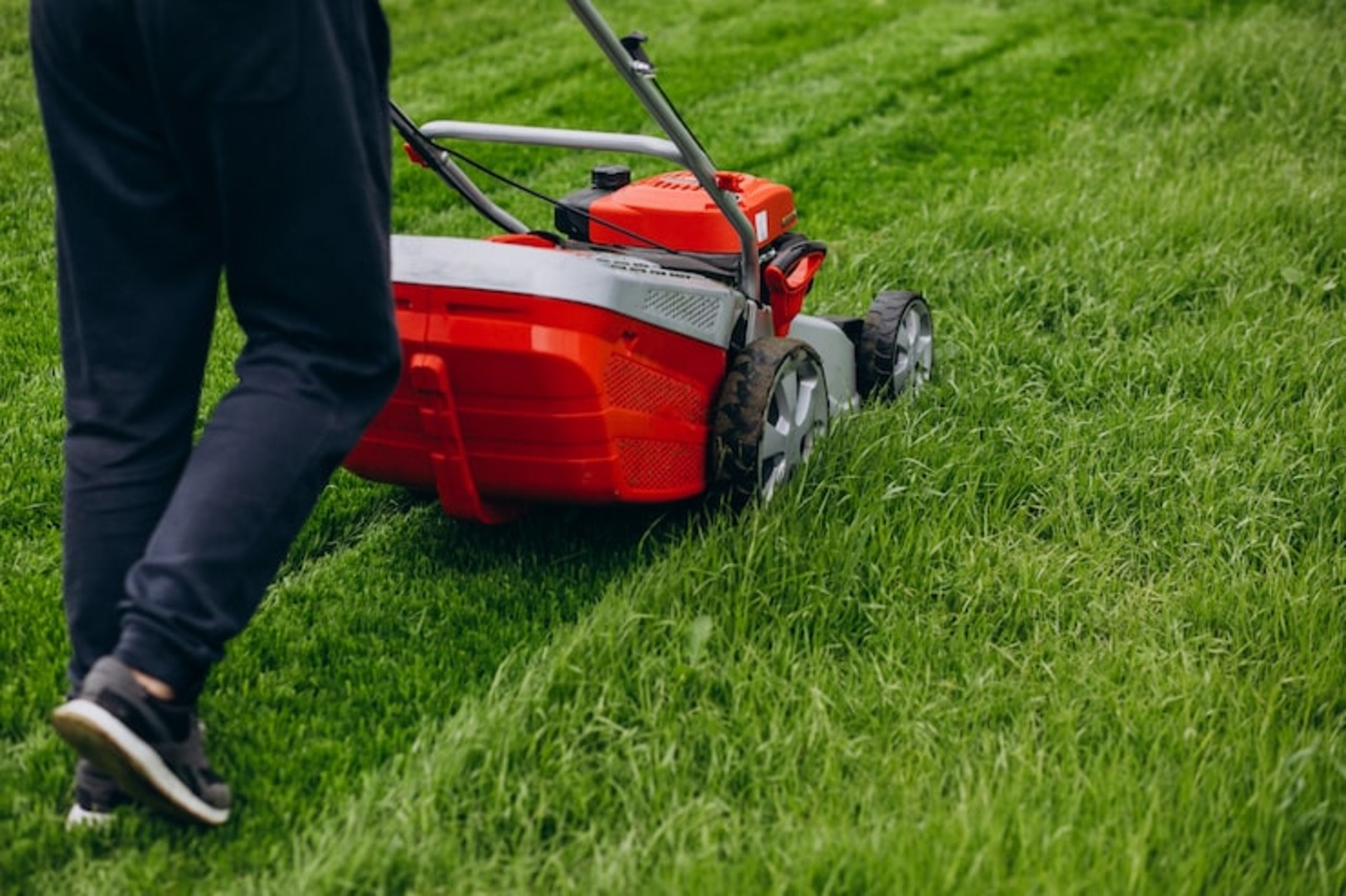 Davis Landscaping team